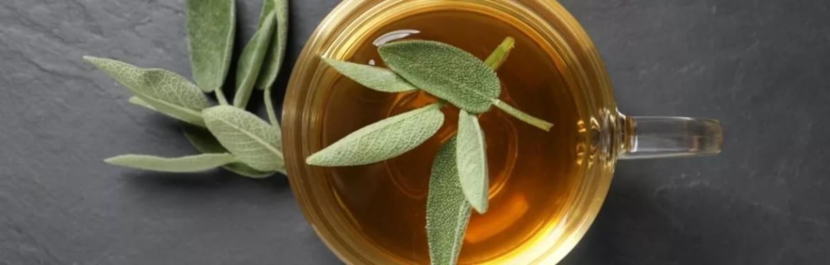 5 benefícios do chá de erva baleeira para sua saúde
