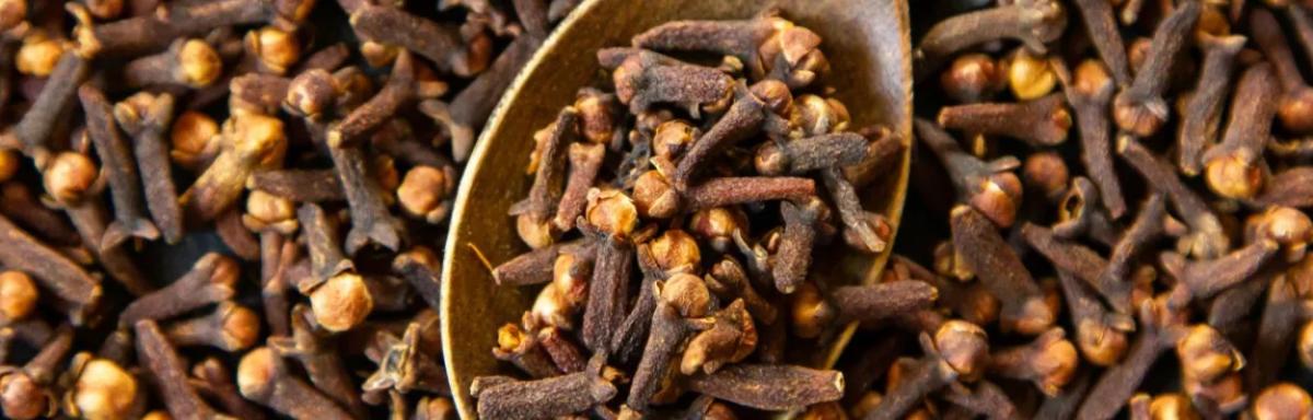 6 motivos para experimentar chá de cravo-da-Índia
