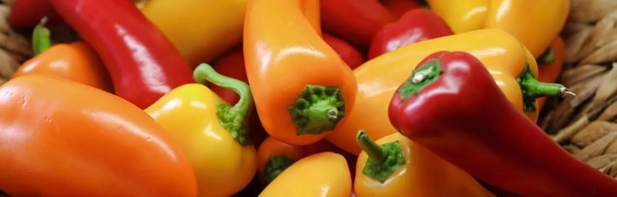 Conheça os 8 diferentes tipos de pimenta