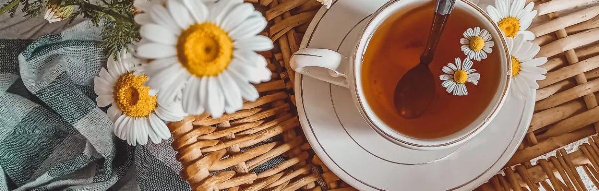 Chá de espinheira-santa: um remédio natural