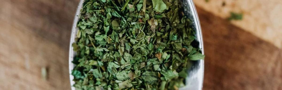 Chá de orégano: benefícios e como tomar