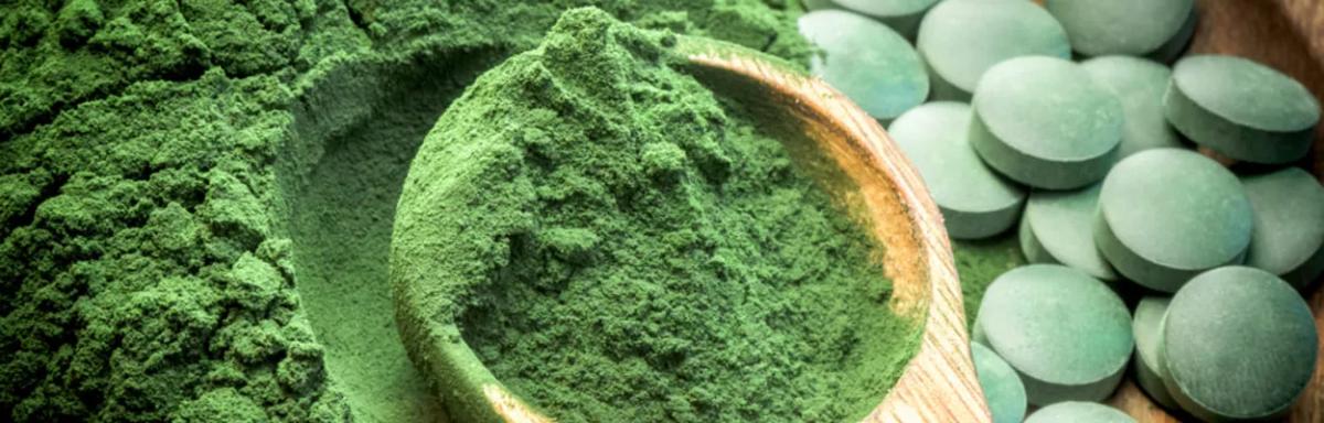 Chlorella e Spirulina: as algas que podem mudar sua saúde