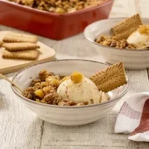 Fotografia em tons de marrom claro com um prato fundo ao centro. Dentro do prato existe um crumble feito com biscoito TOSTINES com maçã acompanhado de sorvete de creme.