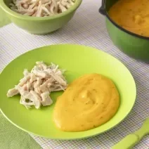 Foto da receita de pure de batate e cenoura. Observa-se um prato verde bebê com o purêzinho laranja do lado direito e um franguinho desfiado do lado esquerdo.