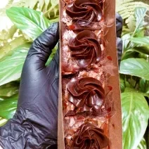 Fotografia em tons de marrom. Ao fundo há algumas plantas verdes, na frente há uma mão segurando uma caixa decorativa contendo os brownies de chocolate.