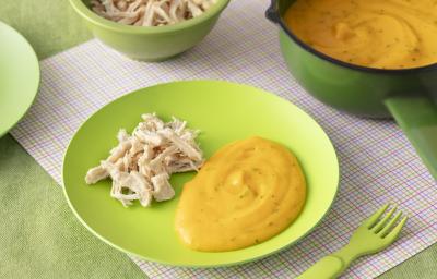 Foto da receita de pure de batate e cenoura. Observa-se um prato verde bebê com o purêzinho laranja do lado direito e um franguinho desfiado do lado esquerdo.