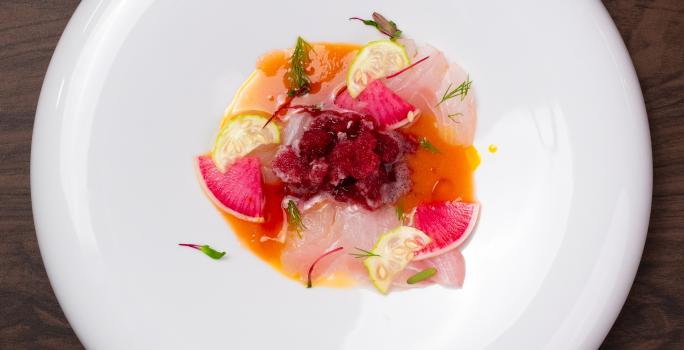 Fotografia em tons de branco com um prato branco ao centro. Em cima do prato existe uma receita de crudo de peixe de cor laranja e rosa, acompanhada de pedaços de limão